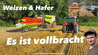 Hafer und Weizen Dreschen  Claas Lexion 5300  Steyr 9095 MT  Steyr 9086  Steyr 968 [upl. by Eikciv]