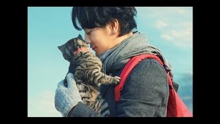 Theme of SEKANEKO 【世界から猫が消えたなら OST】 [upl. by Rainah530]