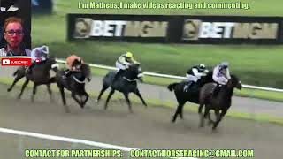 Lingfield FULL races Nov 13 2024  Horse Racing [upl. by Ahsiat349]