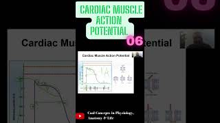 Cardiac Muscle Action Potential  Part6 shorts youtubeshorts youtube ytshorts [upl. by Ak]