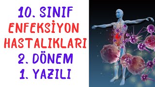 10 Sınıf Enfeksiyon Hastalıkları 2 Dönem 1 Yazılı [upl. by Adnilasor465]