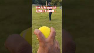 How to do seam ball bowling in cricket cricketshorts cricketshots tips ytshorts tranding yt [upl. by Haelahk27]