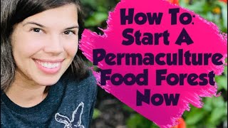 How to Start a Permaculture Food Forest NOW [upl. by Ellenahc]