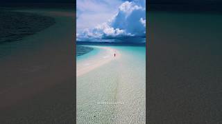 Sandbar of Kalanggaman Island Palompon Leyte Philippines [upl. by Lemra441]