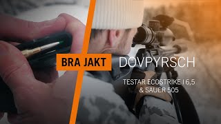 Pyrschjakt på dovvilt  Premiär med Sauer 505 och Ecostrike 65  BRA JAKT [upl. by Eniahs]