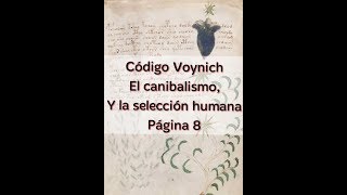 Voynich planta 7 [upl. by Darin]