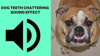 Dog Teeth chattering Sound Effect [upl. by Eahsram460]