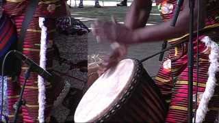 Faso Denya  6  LIVE at Afrikafestival Hertme 2010 [upl. by Mencher]