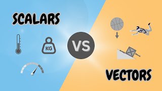 Understanding Scalars and Vectors [upl. by Ateikan750]