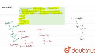 Which of the following characters isare related to isobilateral leaf  a  Stomata are present [upl. by Liss874]