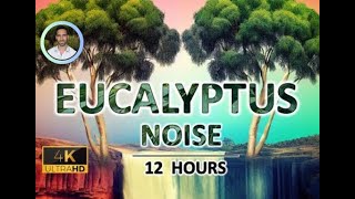 Eucalyptus Noise for Healing  12 Hours  Black Screen  Helps Breathing Sleep Tinnitus Relief [upl. by Acacia]