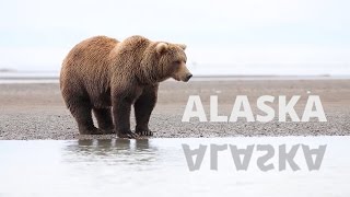 The best of Alaska in 2 weeks [upl. by Nwahsiek27]