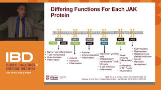 The role of JAK inhibitors in your clinical practice [upl. by Buffum464]