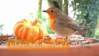 Schönen Herbstsonntag [upl. by Sabu859]