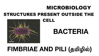 Fimbriae amp Pili  Structures present outside the cell  Bacteria  Tamil [upl. by Urien489]