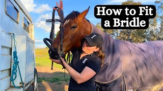 How to Fit a Bridle For The First Time  Horse Bridle Fitting Tutorial  Horse Saddlery Tutorial [upl. by Long973]