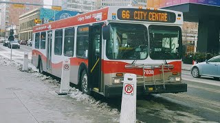 Calgary Transit 2003 New Flyer D40LF 7838 on Route 304 Max Yellow Woodpark [upl. by Ferrel]