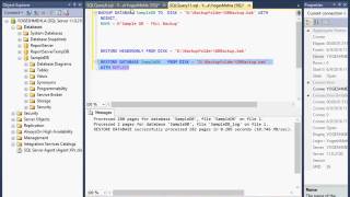 Restoring SQL database backup to previous data version [upl. by Conger155]