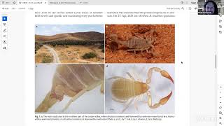 Thursday Sorting  pseudoscorpions  28 Dec 2023 [upl. by Nosahc]