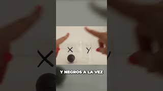 Descubre por qué los gatos machos solo pueden ser naranjas o negros vídeo completo en mi canal [upl. by Yrennalf746]