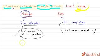 2Cytoledons are found in monocotyledons seeds [upl. by Chard]