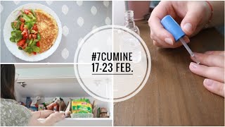 7cumine Curățenie printre alimente și rețete noi🧾 [upl. by Htidirem582]