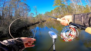 Saltwater Fly Fishing  Exploring Beautiful Hidden Backwaters [upl. by Holzman]