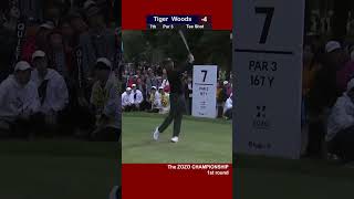 Tiger Woods 82nd win ZOZO CHAMPIONSHIP 2019 D1 golf tigerwoods pgatour [upl. by Araeic]