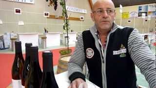 blog vidéo Gilles Limone Pdt salon vins Chavanay [upl. by Lull604]