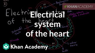 Electrical system of the heart  Circulatory system physiology  NCLEXRN  Khan Academy [upl. by Edgard]