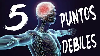 😱 CUALES son los PUNTOS DEBILES del cuerpo humano  5 PUNTOS VITALES para Defensa Personal 🔊 [upl. by Analise]