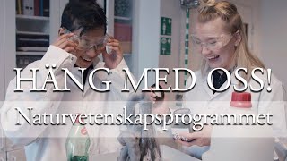 ⭐ Häng med oss ⭐ NATURVETENSKAPSPROGRAMMET [upl. by Allecnirp]