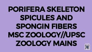 PORIFERA SKELETONSPICULESSPONGIN FIBERSMSC ZOOLOGYUPSC ZOOLOGYIFS ZOOLOGYNEP ZOOLOGY [upl. by Airun]