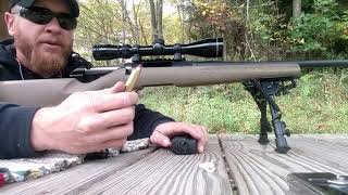 Review 450 Bushmaster testing Hodgdon Lil gun and the Hornady 200gr FTX [upl. by Enamrahc]