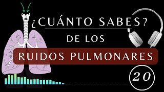 Los Ruidos Pulmonares  TEST DE AUSCULTACIÓN PULMONAR anormales fisiologia medicina [upl. by Yuria]