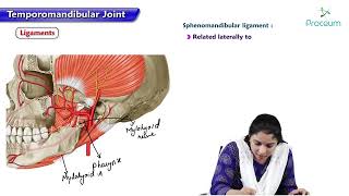 Temporomandibular Joint  TMJ Anatomy  Mandibular Joint [upl. by Eelana]