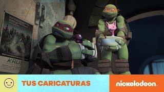 Las Tortugas Ninja  Mordelon  Nickelodeon en Español [upl. by Anaytat]