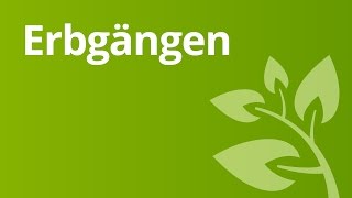 Erbgänge dominantrezessiv intermediär und kodominant  Biologie  Genetik [upl. by Englis]