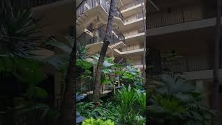 Royal Kona Resort Big Island Hawaii [upl. by Nylirej]