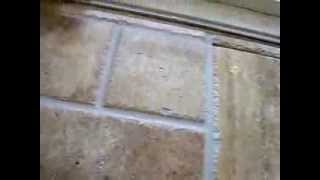 Diy Travertine tile floor installation without clogging fisher holes [upl. by Draned]