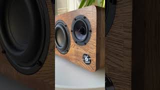 SoundBox 21 boombox portable bluetooth speaker [upl. by Yesnek]