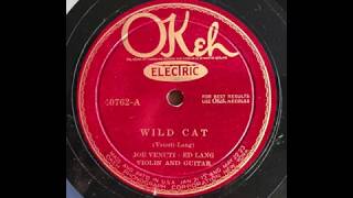 Wild Cat  Joe Venuti amp Eddie Lang 1927 [upl. by Mllly199]