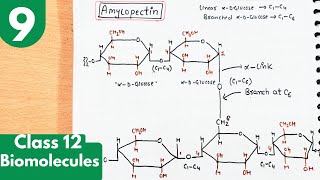 9 Polysaccharides Starch  Amylose and Amylopectin with structures Biomolecules class12 chemistry [upl. by Leelah]