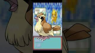 1 Fact About Pidgey shorts whatif pokemon anipoke ashandpikachu pokemonwhatif anime [upl. by Hsitirb]