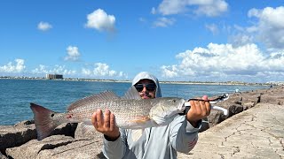 Catching my limit of Redfish at Port A Jetty [upl. by Towrey996]