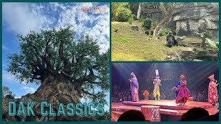 WDW Vlog More Animal Kingdom Adventures December 2022  Day 2 Part 2 [upl. by Hgielar]