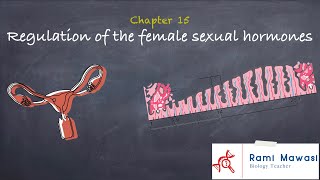 sexual cycle 1 Ovarian and uterine cycles [upl. by Eila]