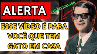 A Previsão de CHICO XAVIER Para Quem Tem GATO EM CASA já COMEÇOU e DEIXA TODOS CHOCADOS [upl. by Artemed]