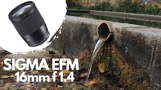 Sigma 16mm 14  Canon M50mk2  Cinematic Video Test 4K [upl. by Nnylatsirk161]