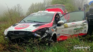 WRC Rally Croatia 2022 Day 1  Crash amp Punctures [upl. by Ettenal]